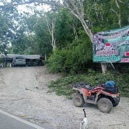 Campamento Yaax Che En Calakmul Conhuas Kültér fotó