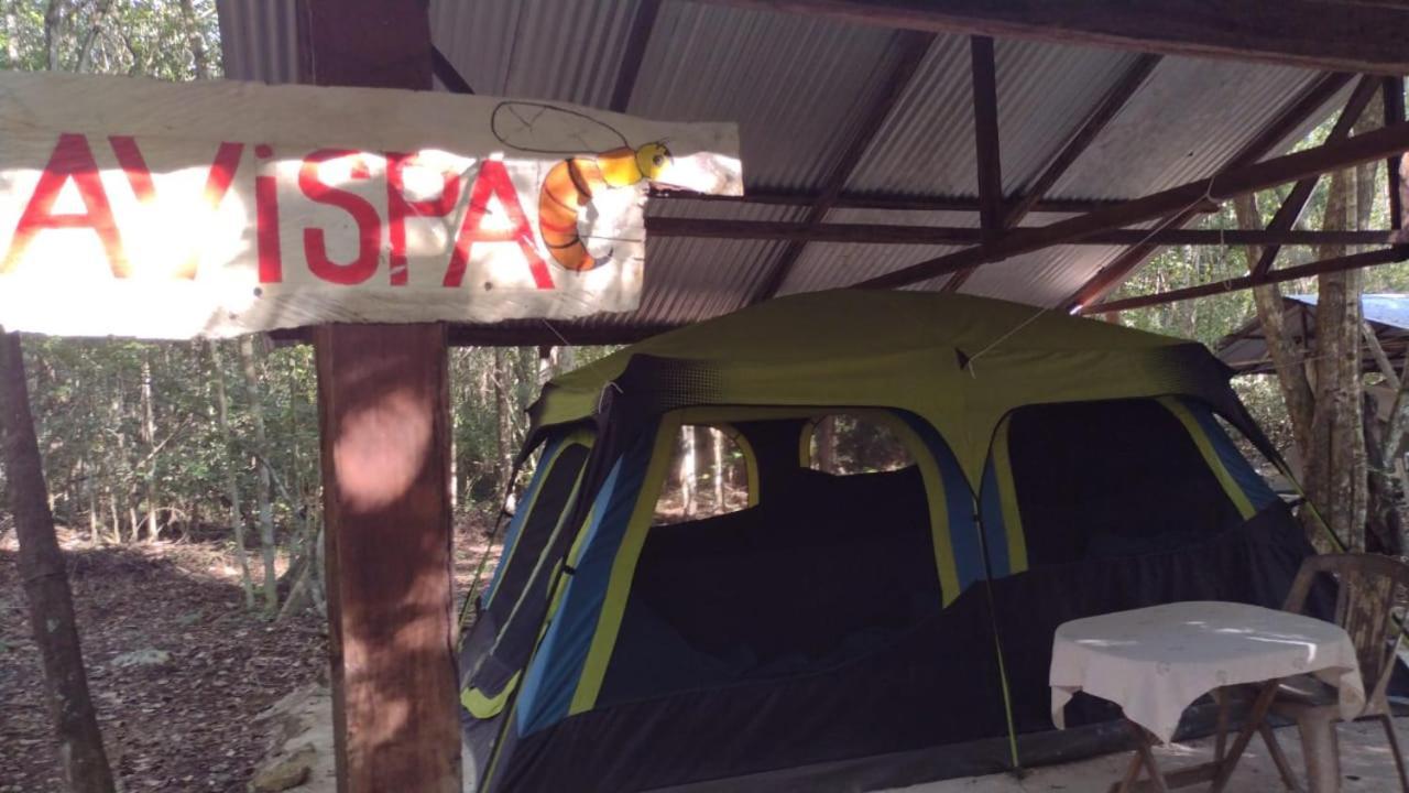 Campamento Yaax Che En Calakmul Conhuas Kültér fotó