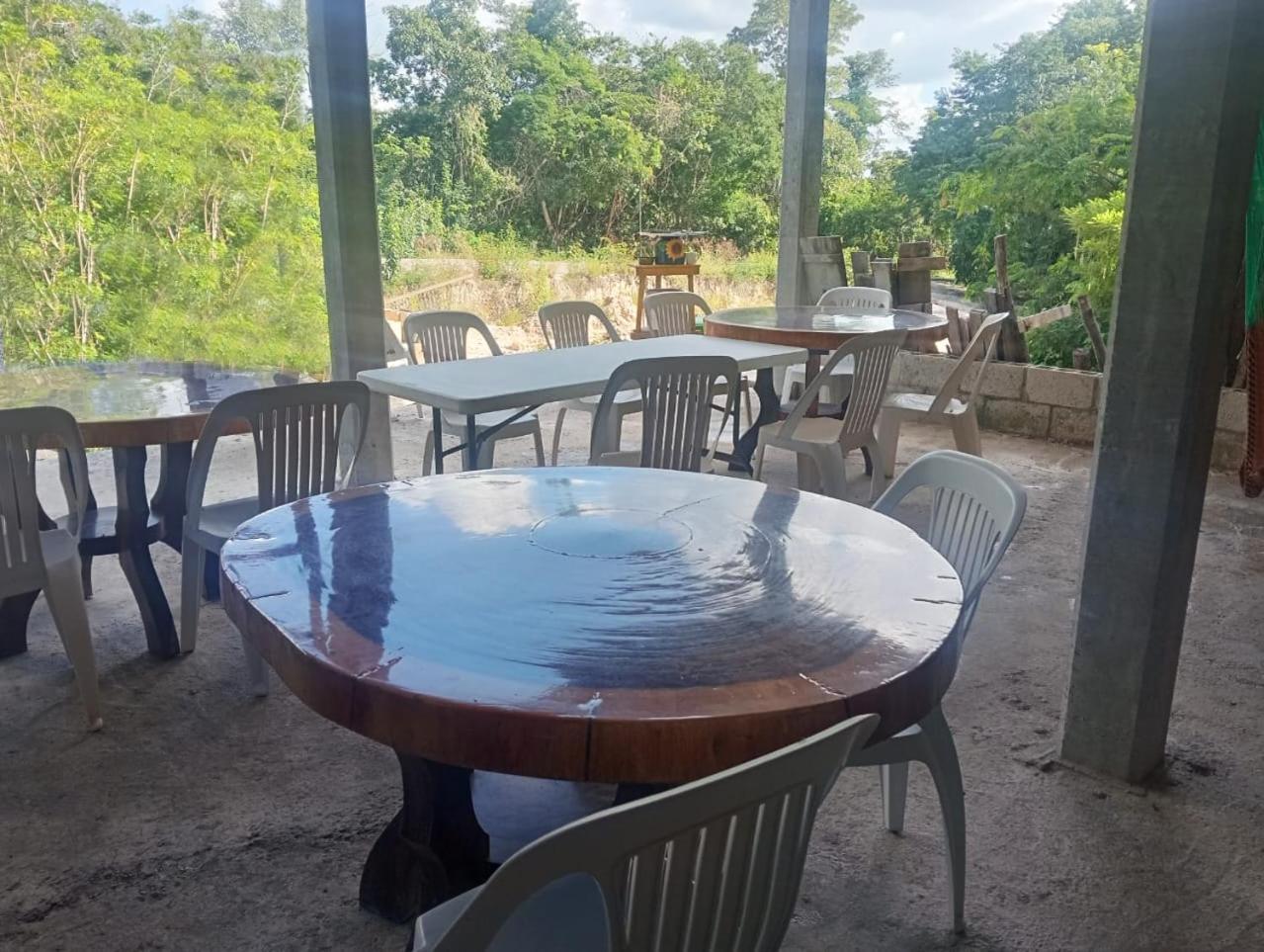 Campamento Yaax Che En Calakmul Conhuas Kültér fotó