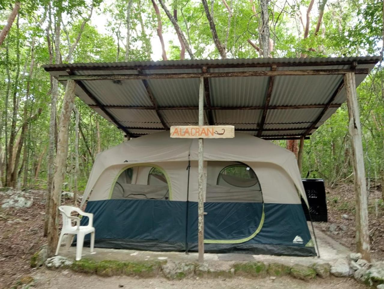 Campamento Yaax Che En Calakmul Conhuas Szoba fotó