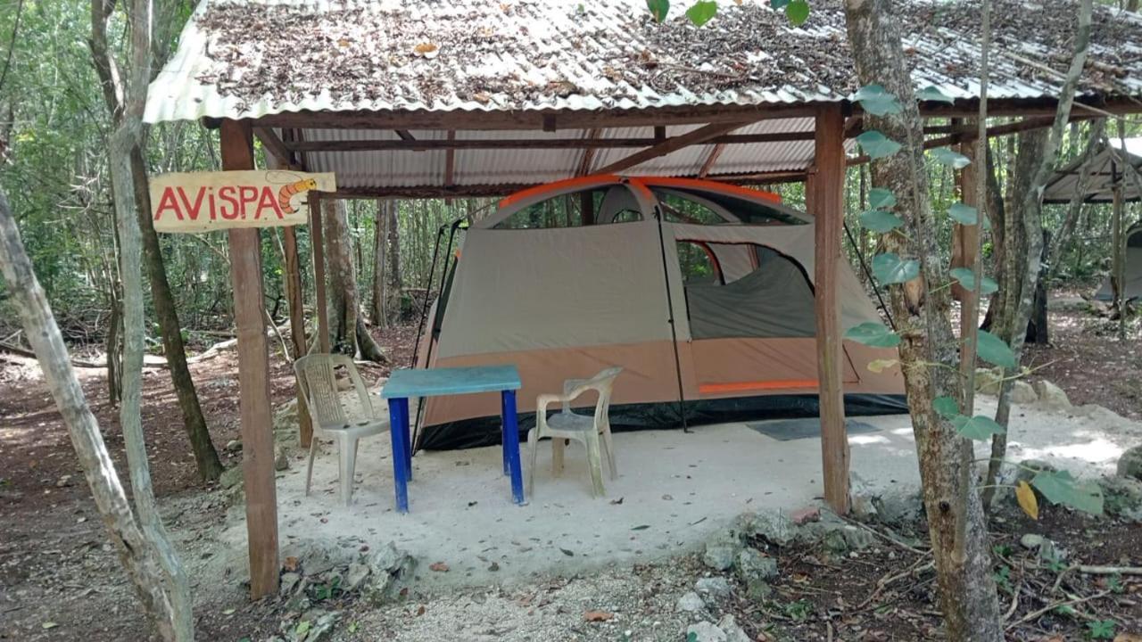 Campamento Yaax Che En Calakmul Conhuas Szoba fotó