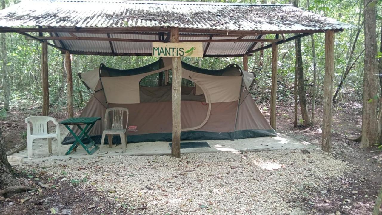 Campamento Yaax Che En Calakmul Conhuas Szoba fotó