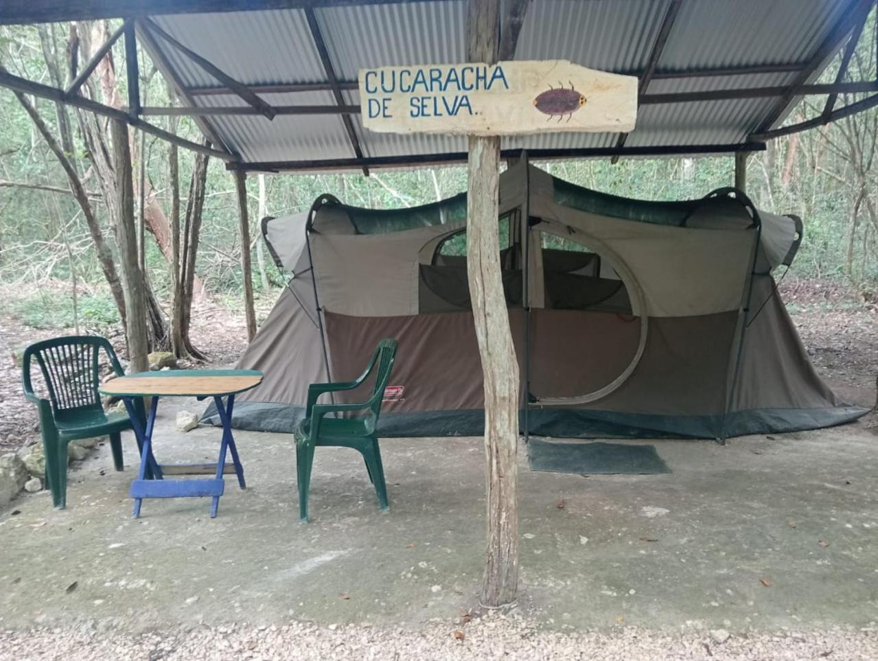 Campamento Yaax Che En Calakmul Conhuas Szoba fotó