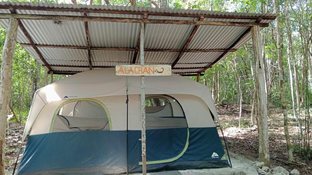 Campamento Yaax Che En Calakmul Conhuas Szoba fotó