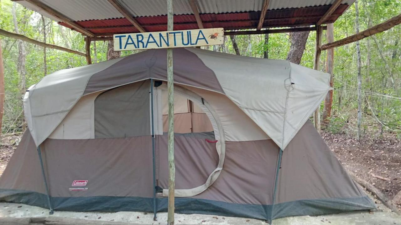 Campamento Yaax Che En Calakmul Conhuas Kültér fotó