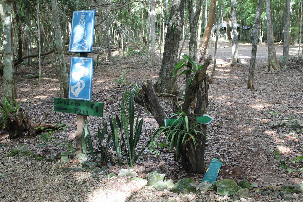 Campamento Yaax Che En Calakmul Conhuas Kültér fotó