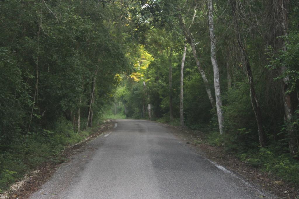 Campamento Yaax Che En Calakmul Conhuas Kültér fotó