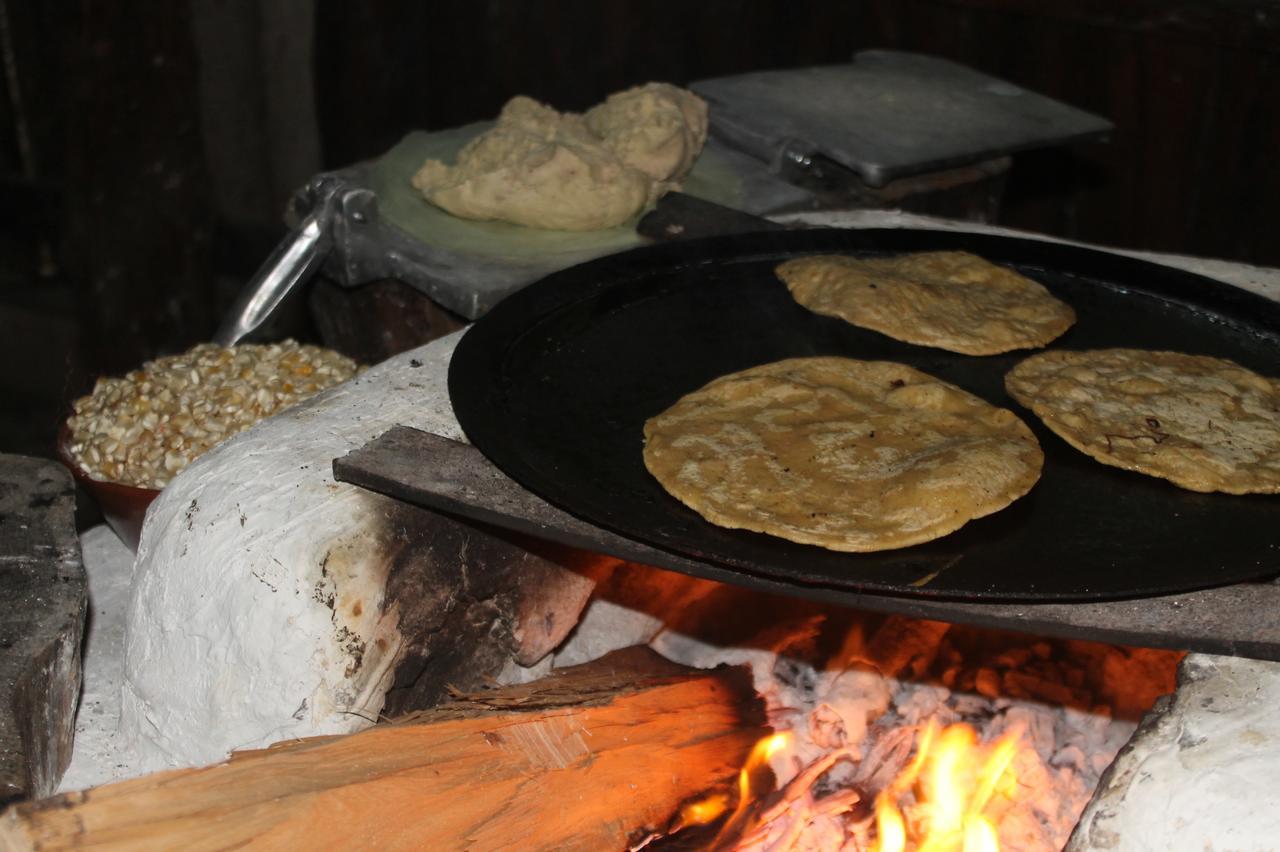 Campamento Yaax Che En Calakmul Conhuas Kültér fotó